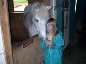 rescue horse - Sparkles