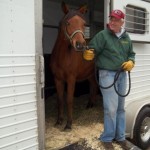 horse rescuing - Baybe getting off trailer