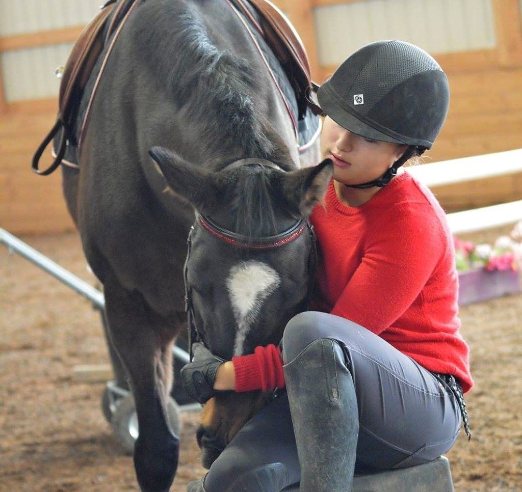 Horse Rescue Equine Rescue Rescue Horses